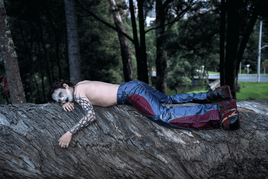 Livor Pant