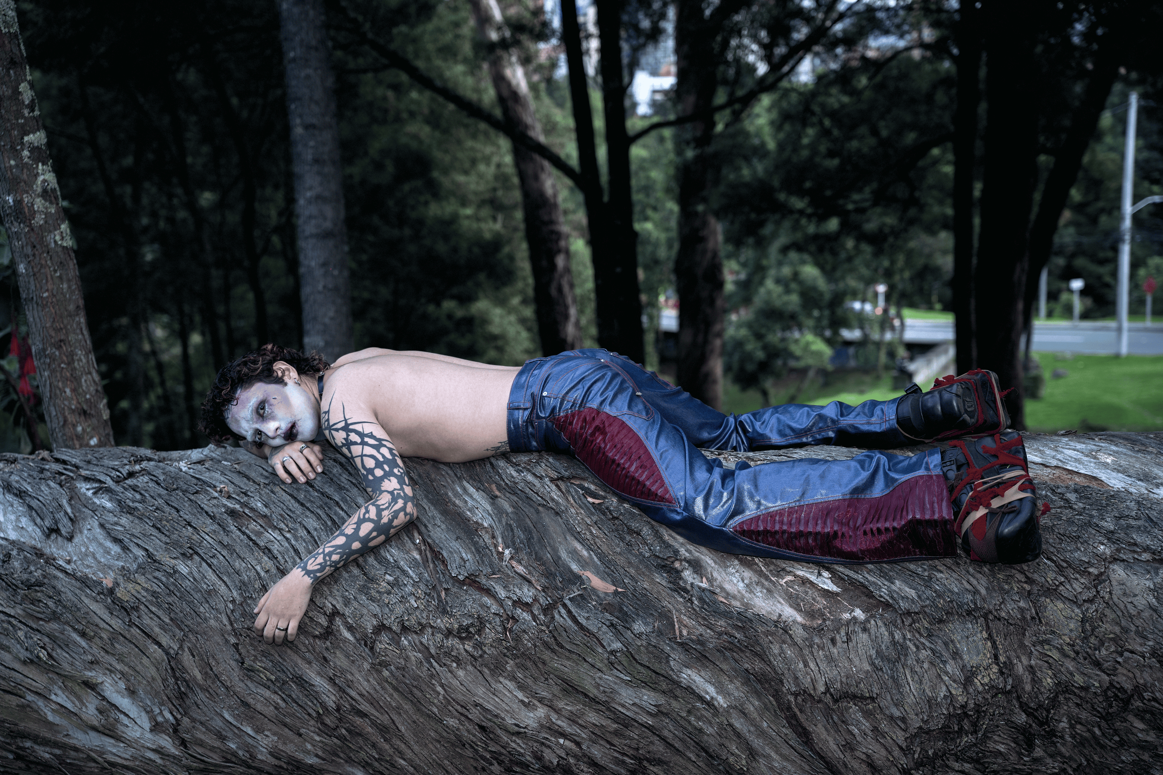 Livor Pant